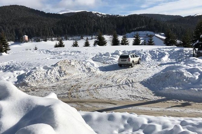 1 Day 4x4 Tour in Carpathian Mountains - Five hours among the Bucegi Mountains