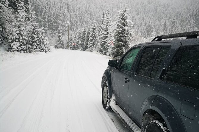 1 Day 4x4 Tour in Carpathian Mountains - Is $191.05 a fair price?