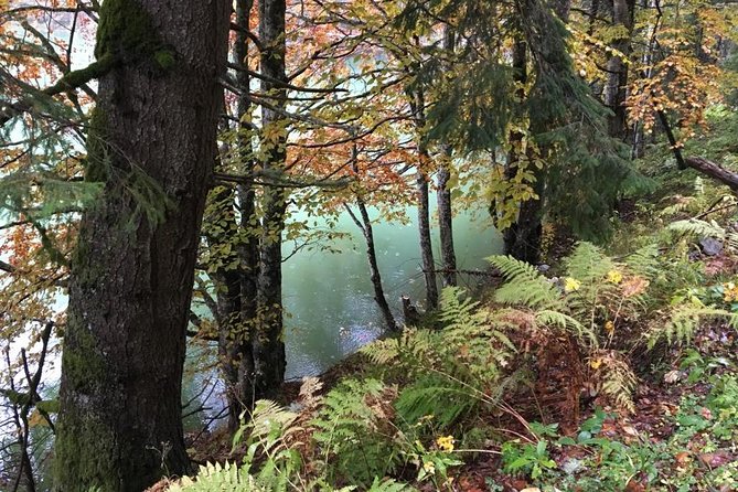 1 Day 4x4 Tour in Carpathian Mountains - Who will get the most from this tour?