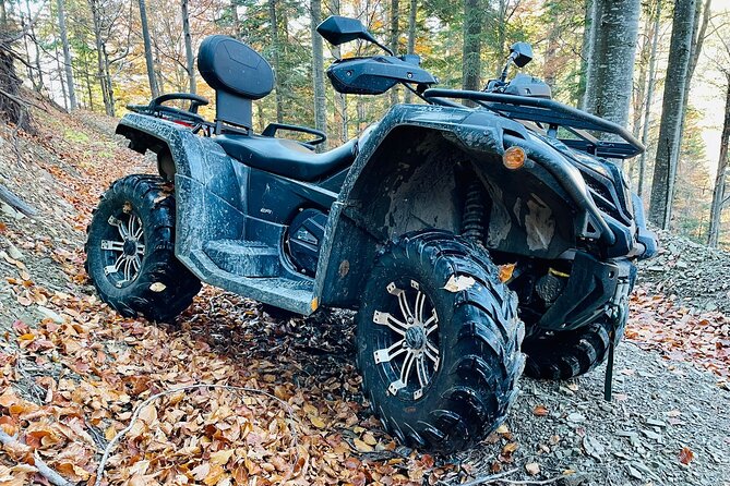 1 Day ATV Tour in Carpathian Mountains - Peles Castle, Romania’s royal showpiece