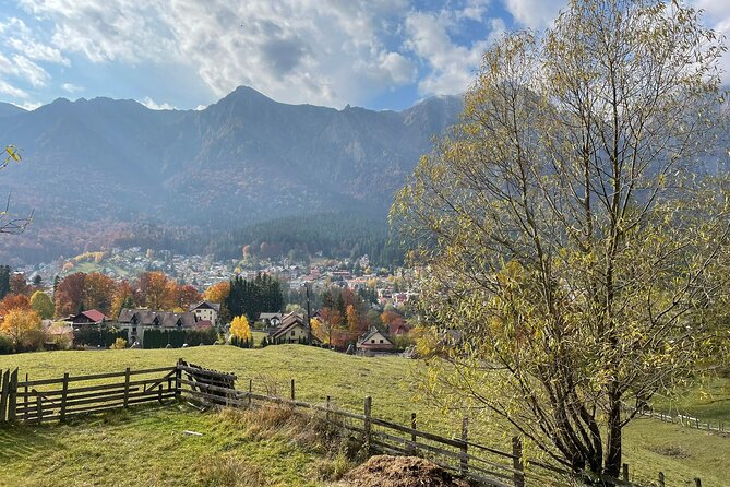 1 Day ATV Tour in Carpathian Mountains - Weather, fitness, and the pace of the day