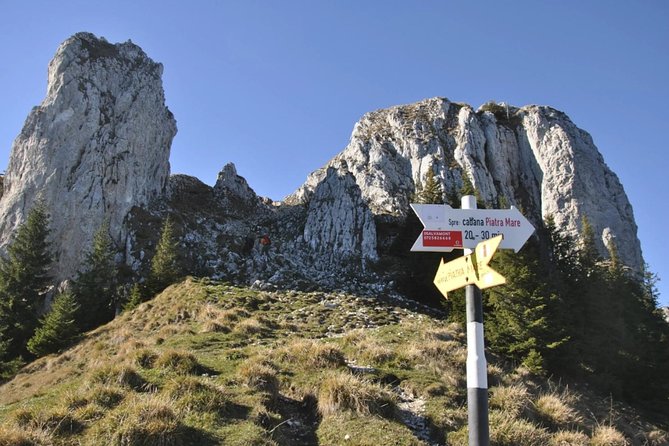 1 day CARPATHIAN PEAKS & CHALETS hike - Walking to Curmătura Chalet at 1,470 meters