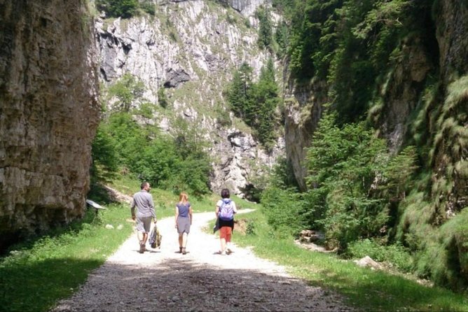 1 day CARPATHIAN PEAKS & CHALETS hike - Andrei’s guiding style