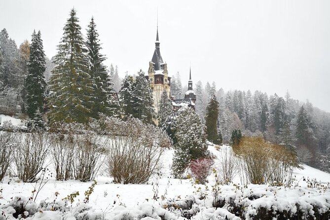 1 Day Castles Tour - Sinaia and Bran - The pace, pickup, and full-day rhythm