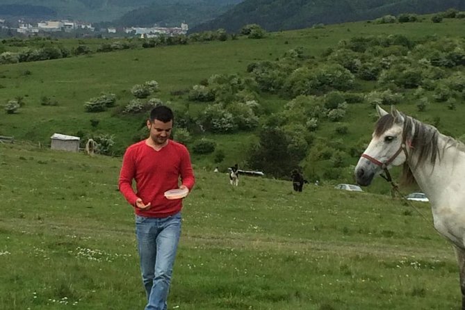 2 Days Private Tour Transfagarasan Road & Sibiu from Bucharest - Calimanesti springs and a change of pace