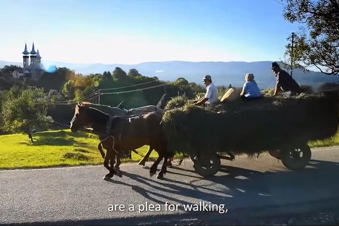 2 Days Private Tour Transfagarasan Road & Sibiu from Bucharest - Day one begins at Curtea de Arges