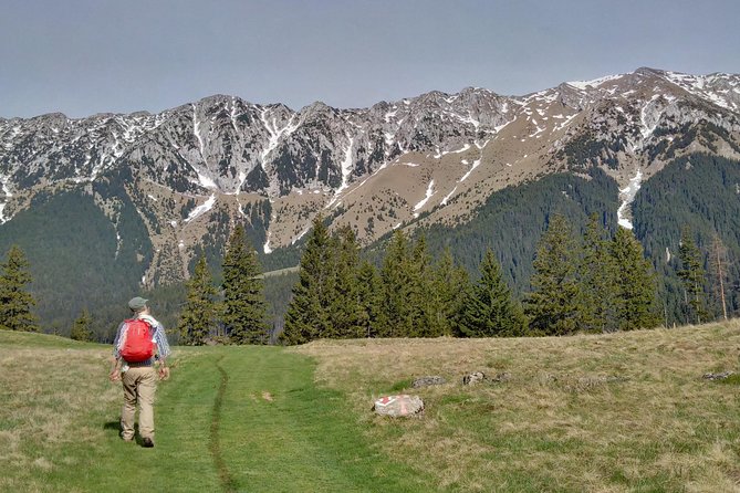 4-Day Carpathian Trek: Bucegi Mountains and Piatra Craiului National Park - From Brasov to the wilder side of Bucegi