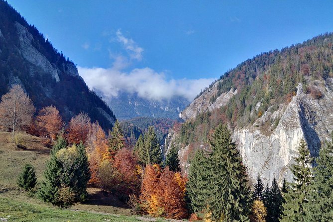 4-Day Carpathian Trek: Bucegi Mountains and Piatra Craiului National Park - Day four, the 2,238-meter summit option