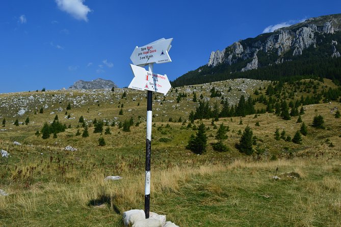 4-Day Carpathian Trek: Bucegi Mountains and Piatra Craiului National Park - The food and guesthouse experience