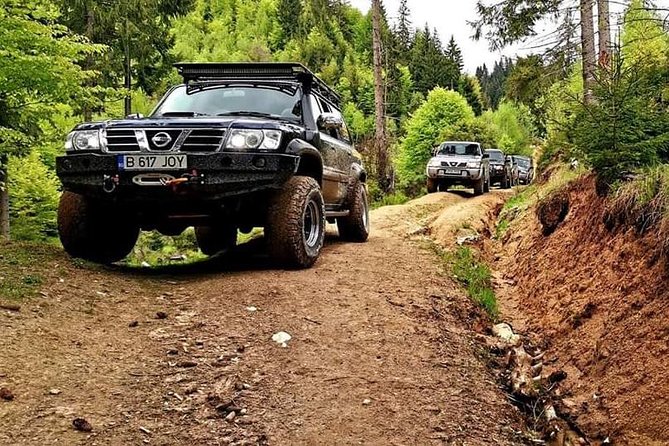 4x4 Driving Experience at Flying Altitudes - 7 Days - Day 2: Diham Cottage and Bran Castle