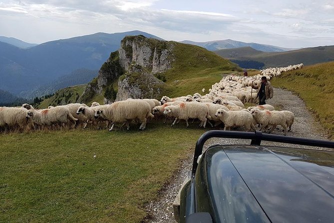 4x4 Driving Experience at Flying Altitudes - 7 Days - Day 7: Brașov’s old center and the return to Bucharest