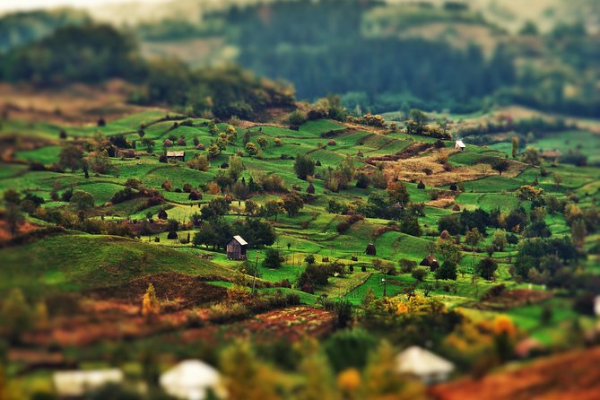 A Journey Back in Time: Countryside from Transylvania and Maramures - 15 Days - Viscri and Sighisoara, the Saxon heart of the route