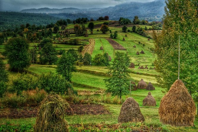A Journey Back in Time: Countryside from Transylvania and Maramures - 15 Days - Bran, Rasnov, and the bears near Zarnesti