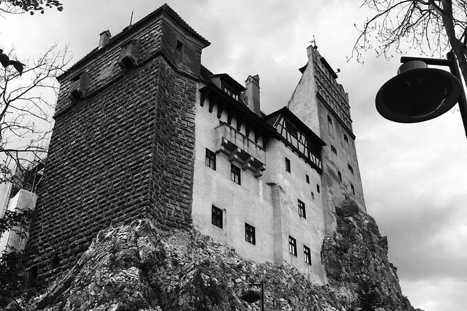 Bear Sanctuary and Bran Castle from Brasov - Why a small group changes the experience