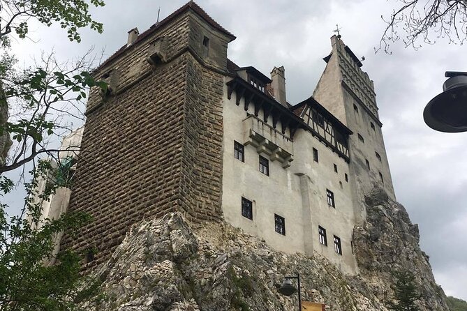 Bear Sanctuary and Bran Castle from Brasov - Timing, pickup, and what to expect on the road