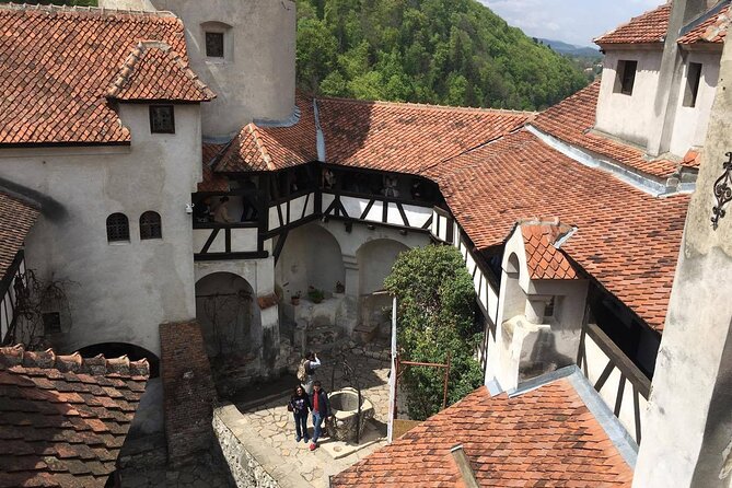 Bear Sanctuary and Bran Castle from Brasov - Weather, cancellations, and a few practical cautions