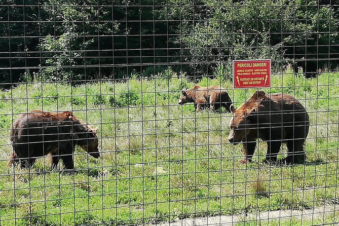 Bear Sanctuary and Dracula's Castle, 1-day Private Tour - A closer look at the 6:30 a.m. start