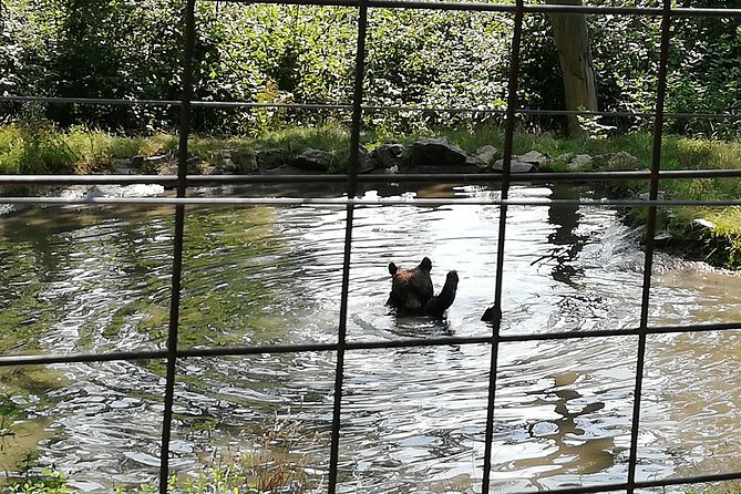 Bear Sanctuary and Dracula's Castle, 1-day Private Tour - How the private guide shapes the experience