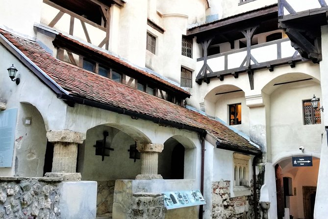 Bear Sanctuary and Dracula's Castle, 1-day Private Tour - Who should book this tour