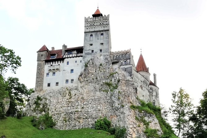 Bear Sanctuary and Dracula's Castle, 1-day Private Tour - Should you book this Bucharest to Transylvania day trip?