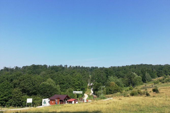 Bear Sanctuary and Dracula's Castle, 1-day Private Tour - What Bran Castle can and cannot tell you about Dracula