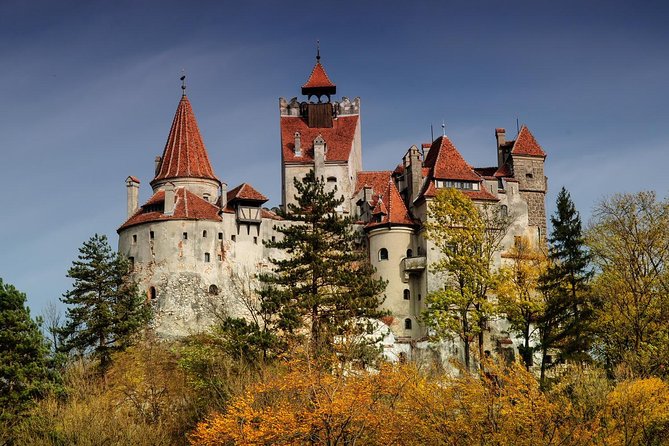 Bear Sanctuary, Bran (Dracula) Castle, Peles Castle From Brasov - Why this route works from Brasov