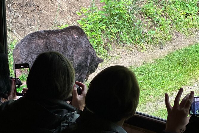 Bear Watching In Brasov: Observe Wild Bears From A Hideout (100%) - Leaving Brasov for the forest
