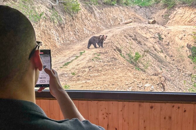 Bear Watching In Brasov: Observe Wild Bears From A Hideout (100%) - The guide, transport, and information