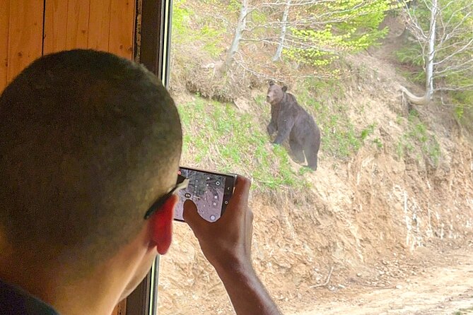 Bear Watching In Brasov: Observe Wild Bears From A Hideout (100%) - Who will enjoy this bear-watching trip?