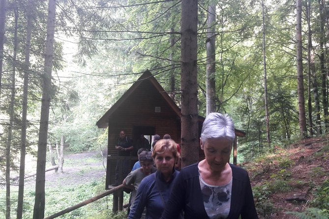 Bear Watching in The Wild from Brasov (100 %) - How to prepare for a better bear watch