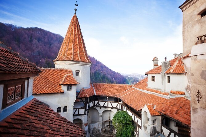 Bears Sanctuary, Dracula Castle and Poiana Brasov-Private day tour from Brasov - Libearty Bear Sanctuary: arrive early for the bears