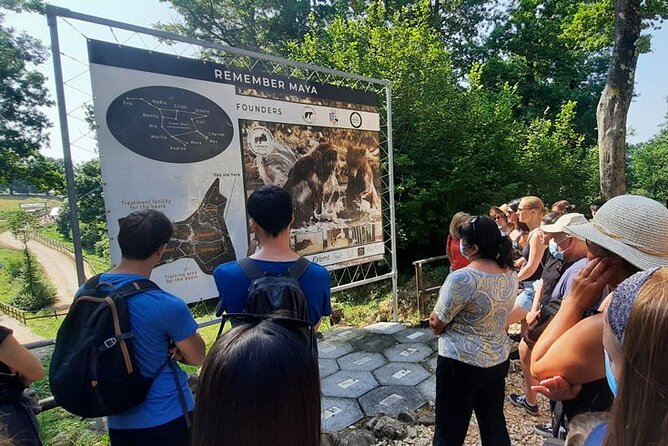 Bears Sanctuary, Dracula Castle and Poiana Brasov-Private day tour from Brasov - The value of a private vehicle and guide