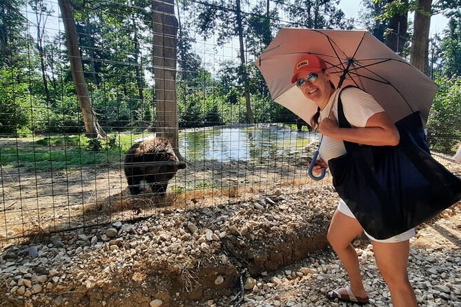 Bears Sanctuary, Dracula Castle and Poiana Brasov-Private day tour from Brasov - Should you book the Brasov bear sanctuary and Dracula Castle tour?