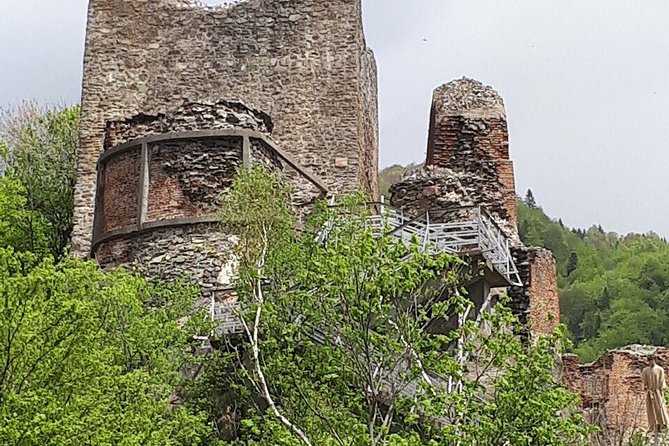 Bears Sanctuary, Dracula's Castle, Brasov Day Trip Private Tour from Bucharest - A Long Day, With Some Room to Adjust