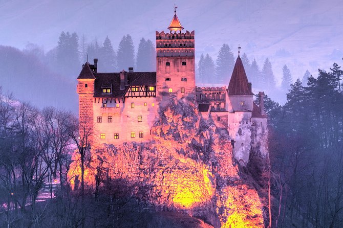 Bears Sanctuary, Dracula's Castle, Brasov Day Trip Private Tour from Bucharest - Booking, Cancellation, and Small Practical Details
