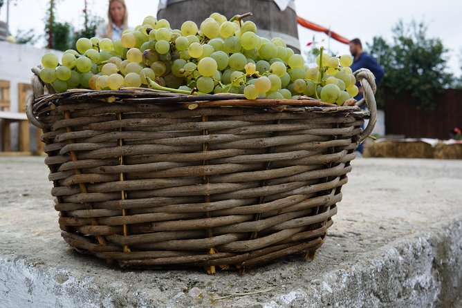 Bike & Wine tour in Dealu Mare wineland - Inside a local boutique wine cellar