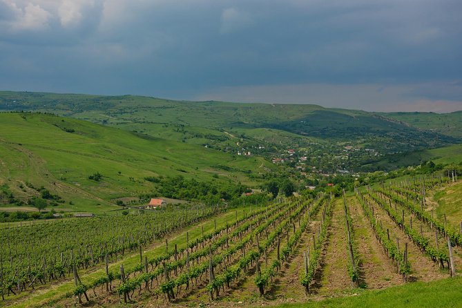 Bike & Wine tour in Dealu Mare wineland - What the $139.67 price really covers