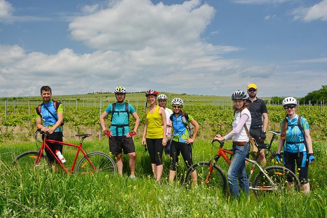 Bike & Wine tour in Dealu Mare wineland - Who will enjoy this day most