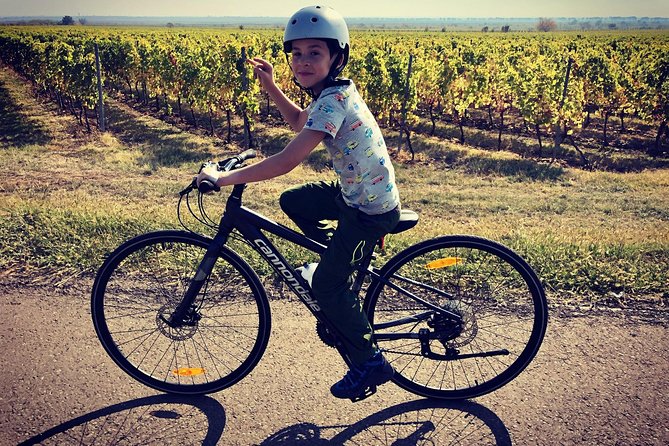 Bike & Wine tour in Dealu Mare wineland - Timing, booking, and cancellation details