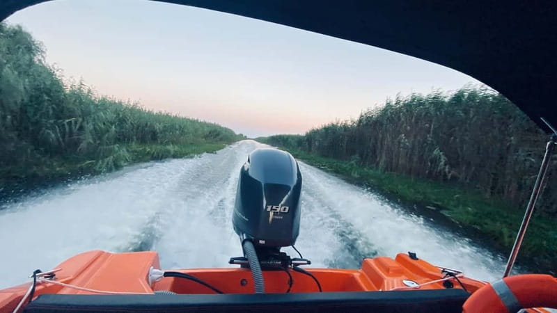 Boat Trip to Caraorman Forest – Danube Delta (6–7 hours) - Following the old Sfântu Gheorghe arm