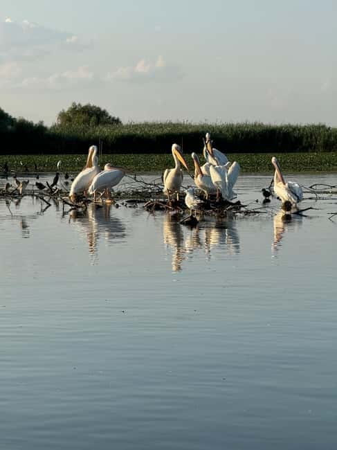 Boat Trip to Caraorman Forest – Danube Delta (6–7 hours) - Isăcel and Isac, where fishing shapes the route