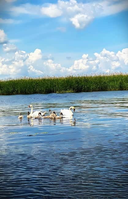 Boat Trip to Caraorman Forest – Danube Delta (6–7 hours) - Adding the homemade fish lunch