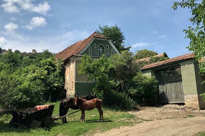 Bran and Rasnov Castles Tour from Brasov - The Carpathian road between the castles