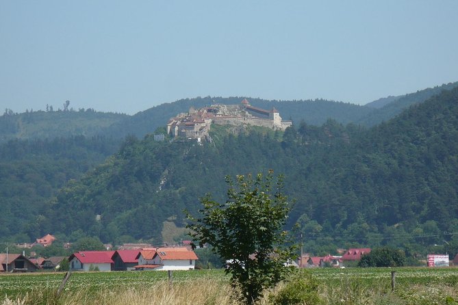 Bran Castle and more options private tour from Brasov - Florin’s flexible guiding style