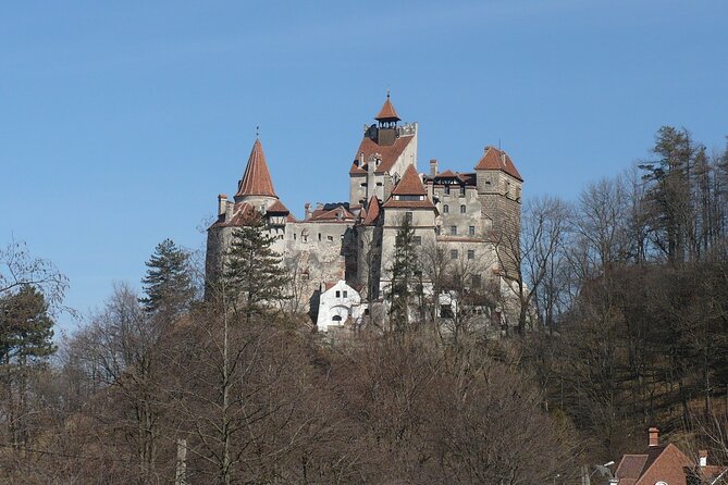Bran Castle and more options private tour from Brasov - How long the tour really takes