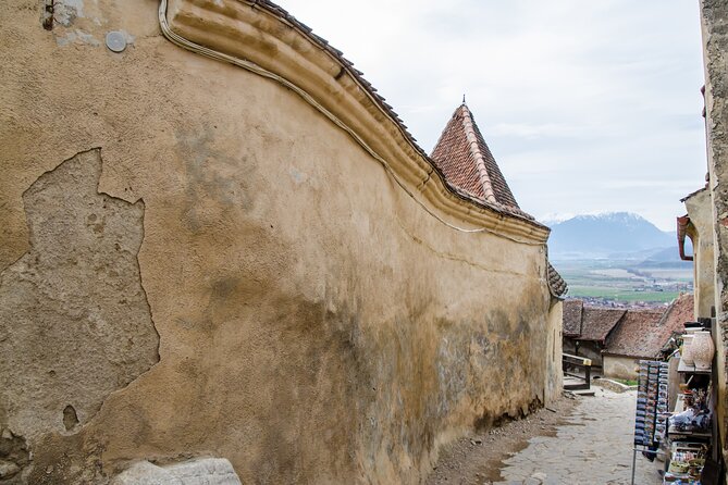Bran Castle, Bear Sanctuary, and Rasnov Fortress Half Day Tour - Who will get the most from this day