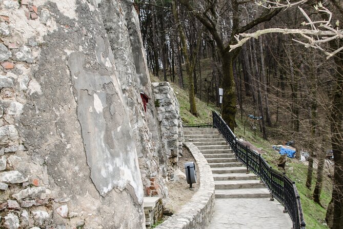Bran Castle, Bear Sanctuary, and Rasnov Fortress Half Day Tour - Bran Castle, where history meets Dracula marketing
