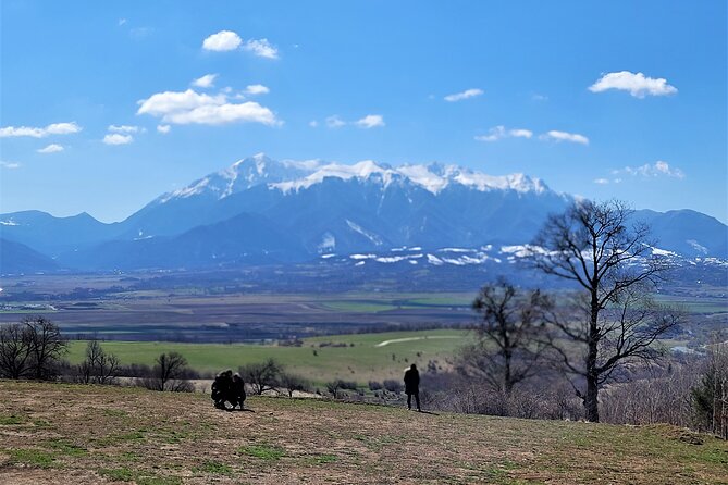 Bran Castle & Bear Sanctuary from Brasov - Optional Peles Castle - The 45-minute ride from Brasov to Zărnești
