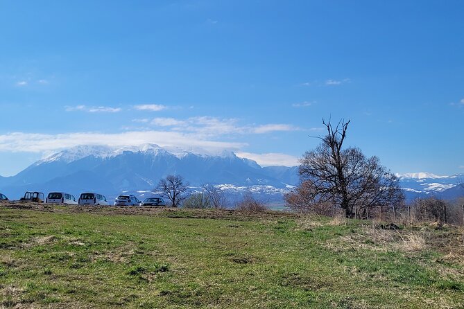 Bran Castle & Bear Sanctuary from Brasov - Optional Peles Castle - Food, timing, and what to bring