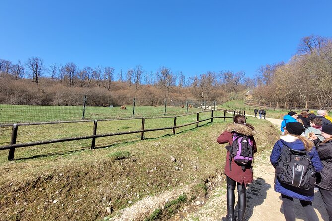 Bran Castle & Bear Sanctuary from Brasov - Optional Peles Castle - Who should book this Brasov day trip